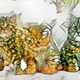 Illustration for article titled The amazing Pineapple Cats of Hawaii